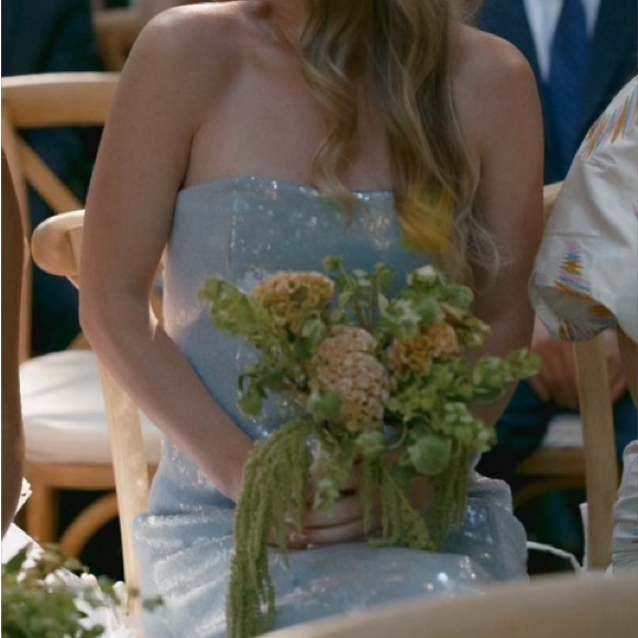 Cinq a sept collins gown size 6 - Picture 3 of 3